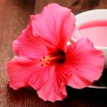 Čudovit hibiskus: koristne lastnosti čaja za ženske in moške, kontraindikacije in pravila varjenja