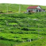 Kas ir kada atrado Vadų salas: šiaurinių kraštų bruožai