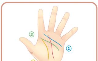 Interpretarea liniilor de pe palmă în chiromanție