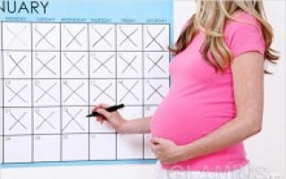 Dates de grossesse: obstétrique et embryonnaire - Comment déterminer et ne pas être confus en termes