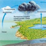 Kokią funkciją atlieka medžiagų ciklas biosferoje? Chemija aplink vandens ciklą biosferoje?