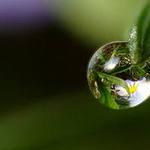 Eau magique.  Le pouvoir magique de l'eau