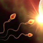 Por qué la ureaplasmosis es peligrosa durante el embarazo: mitos y verdades sobre la infección Ureaplasmosis en mujeres embarazadas