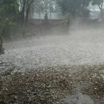 „Warum träumst du im Traum von Hagel?