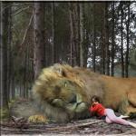 De ce visează leii?  Interpretarea viselor: Leu.  Interpretarea viselor Interpretarea viselor