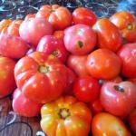 Eingelegte Tomaten in Litergläsern für den Winter