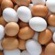 Miego aiškinimas apie vištų kiaušinius Svajonių aiškinimas vištų kiaušinių lizde daug