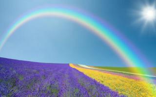 ¿Por qué sueñas con un arcoíris en el cielo? ¡Dicen que significa buena suerte en todos tus emprendimientos!