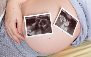 Jausmas persodinus embrionus su IVF