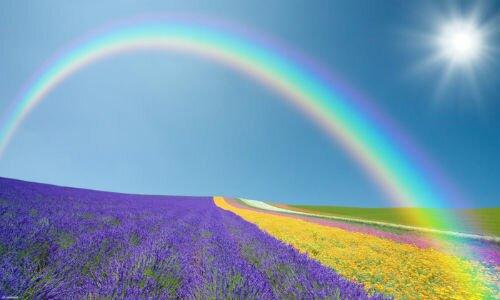 Warum träumen Sie von einem Regenbogen am Himmel: Man sagt, es bedeutet viel Glück bei all Ihren Bemühungen!