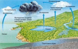 Какую функцию в биосфере выполняет круговорот веществ Химия окруж круговорот воды в биосфере