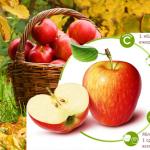 Zutaten, aus denen Äpfel bestehen