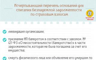 Draudimo įmokų amnestija individualiems verslininkams: kaip uždaryti atsiskaitymus su Rusijos pensijų fondu