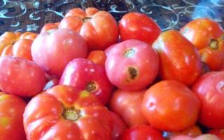 گوجه فرنگی ترشی در کوزه های لیتری برای زمستان